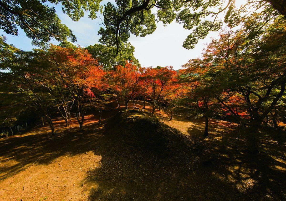 Uemura Sagara Clan Heritage Sites