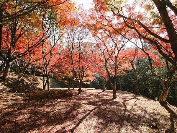Fumoto Castle Ruins