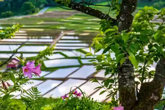 Sawarataira no Tanada