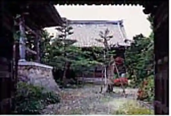 Saiko Tera