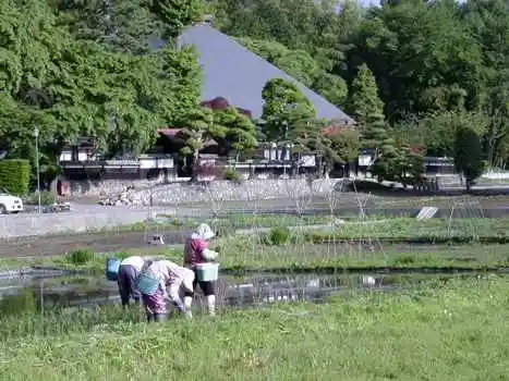 Korin Tera