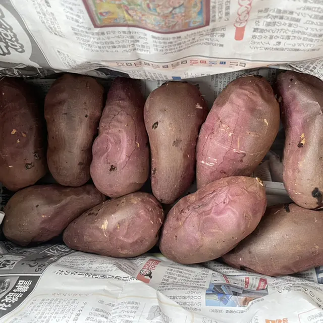 牛木農産物直売所 倉康