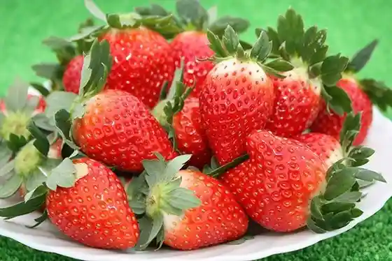 JA Ashikaga Agriland Strawberry Farm