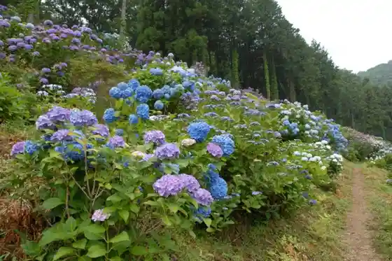 Kisshoji Temple