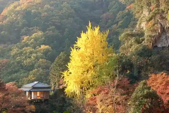 Gyodosan Joinji Temple