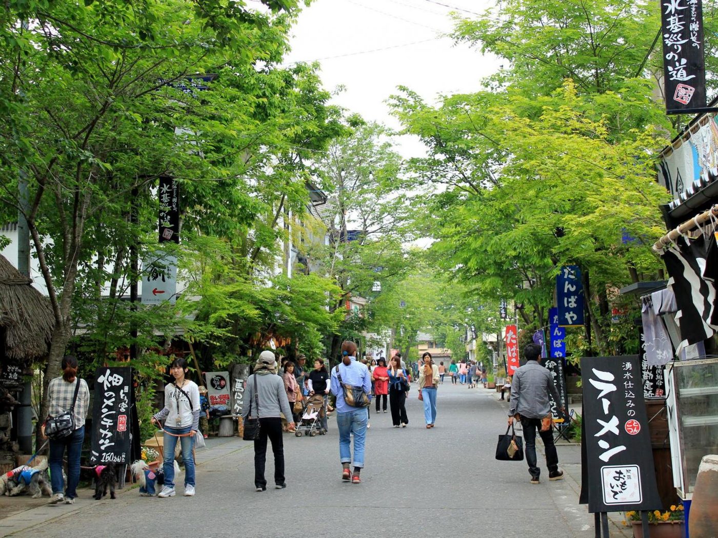 Aso Shrine Approach