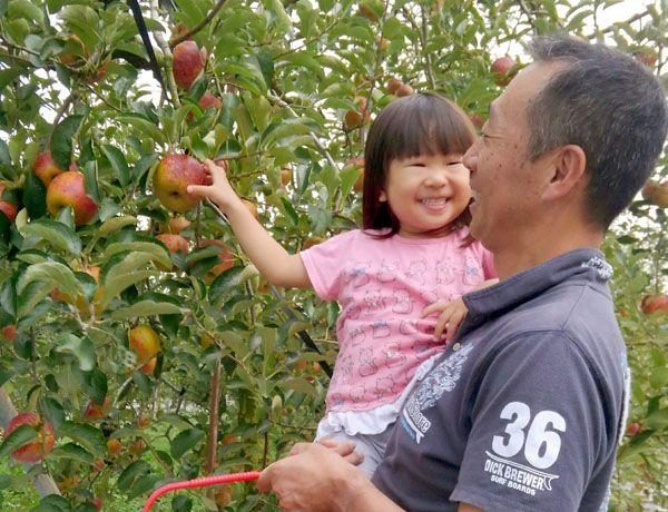 Fruit Country COUPLES