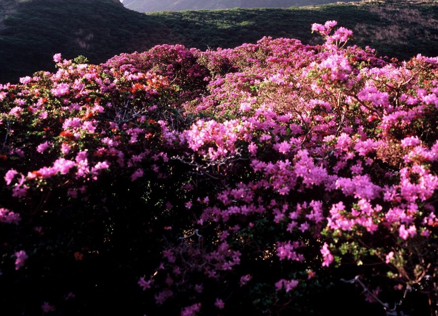 Sensuikyo Gorge