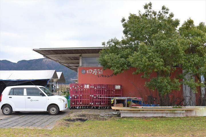 Shikisai Ichinomiya
