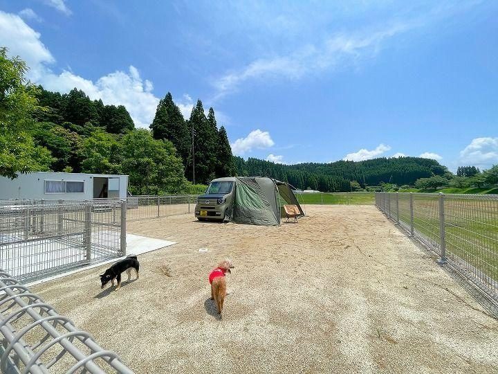 Hinokuni Dog Run Auto Campground