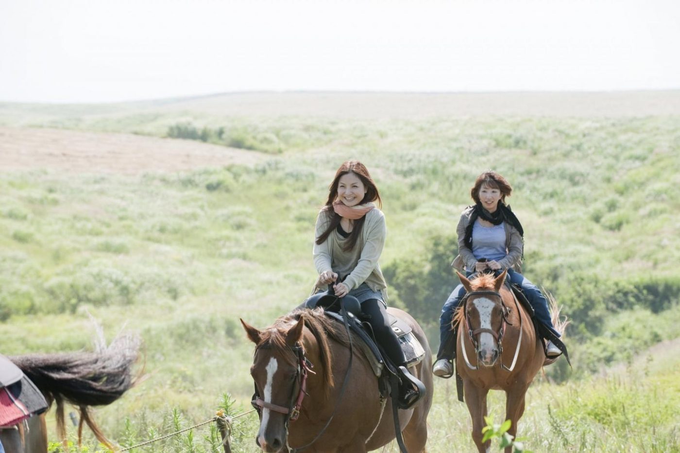 Frontier Horse Group El Patio Ranch