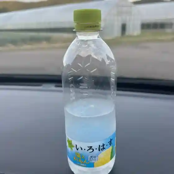 俄虫温泉旅館