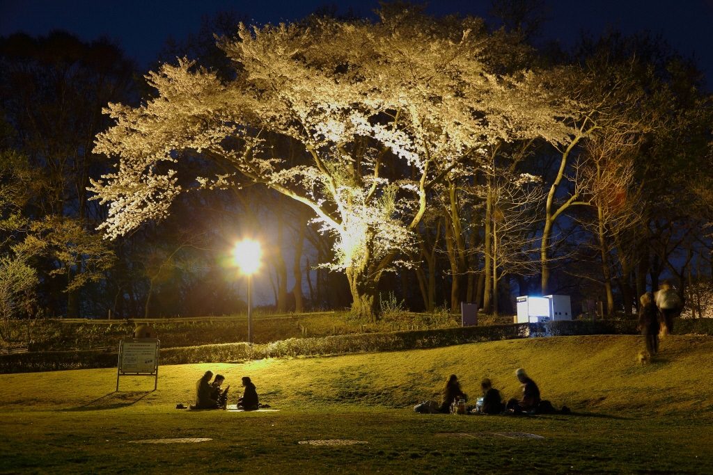 Bosai no Oka Park
