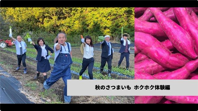 Sweet Potato Digging at Blueberry Hills Atsugi
