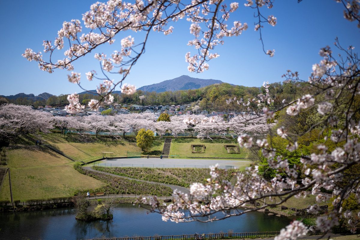 Wakamiya Park