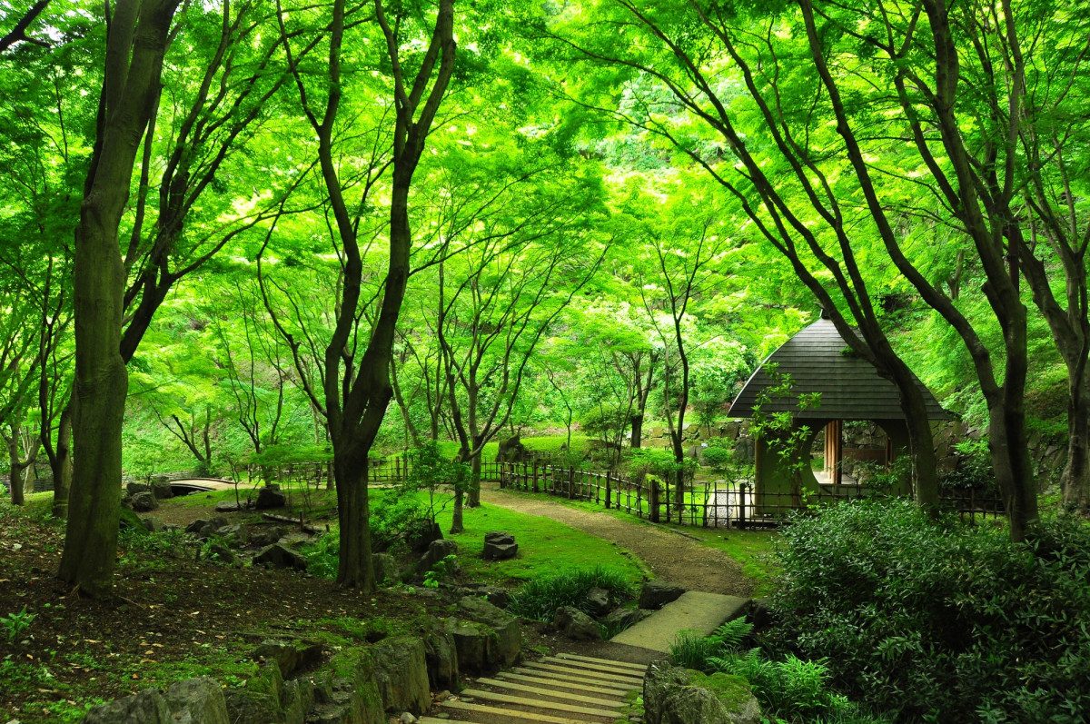 Kanagawa Prefectural Nanasawa Forest Park