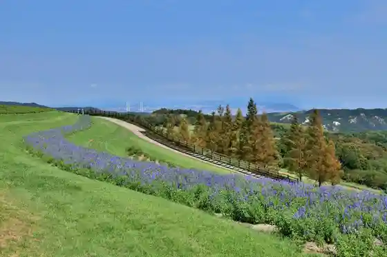 Awaji Hana Sajiki