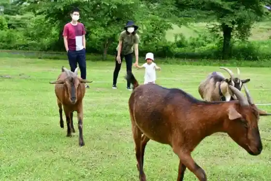 Ayabe Fureai Ranch