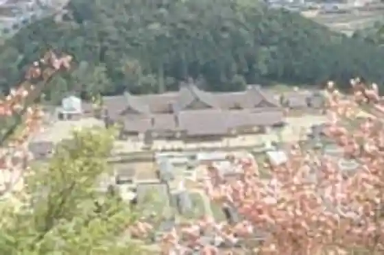 Ayabe Umematsu En (Omoto)