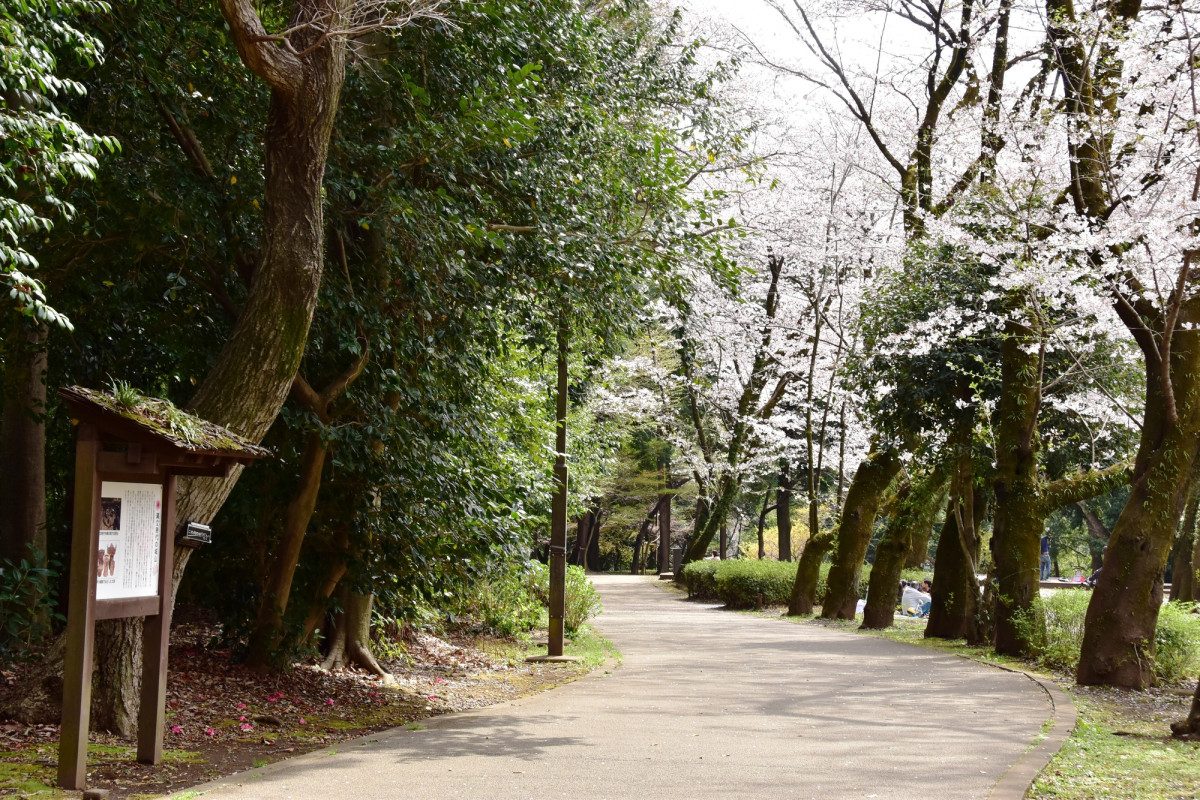 Shiroyama Park