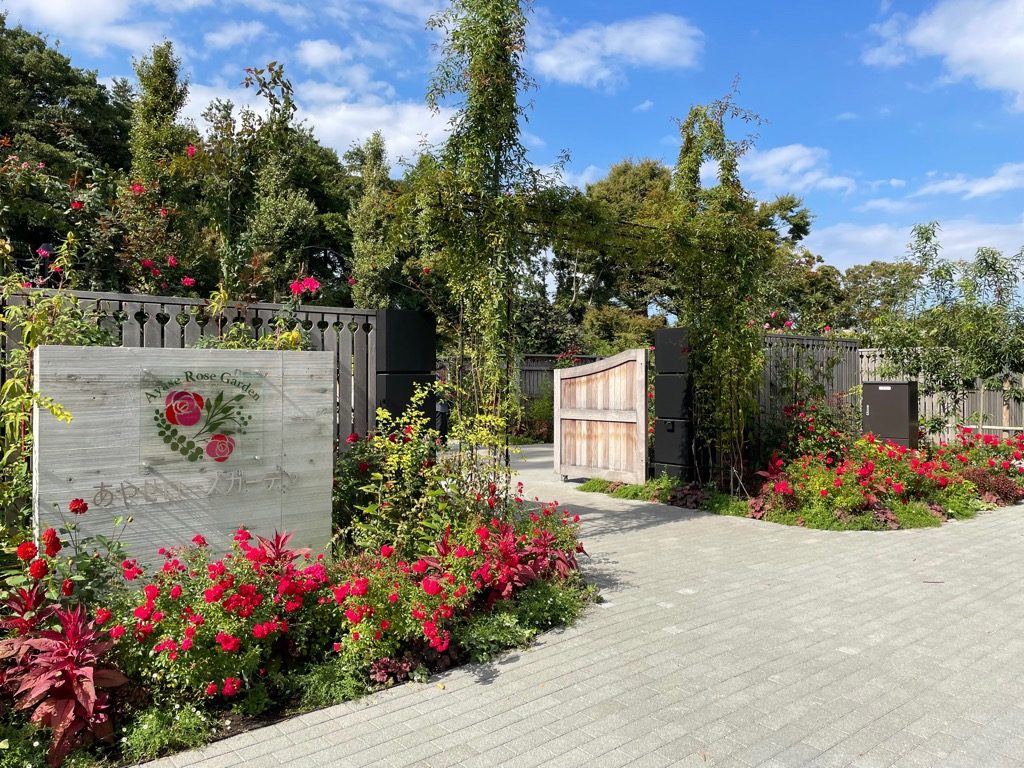 Ayase Rose Garden