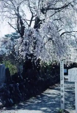 Hundred Kannon Statues of Former Buppoji