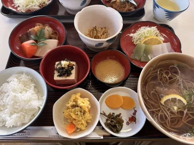 榧の木