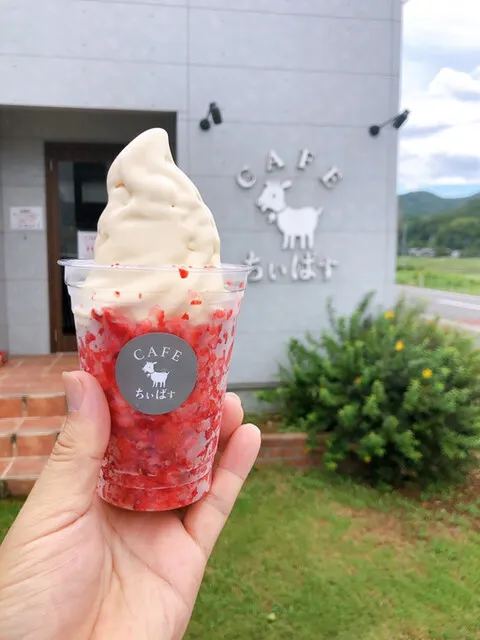 CAFEちいばす