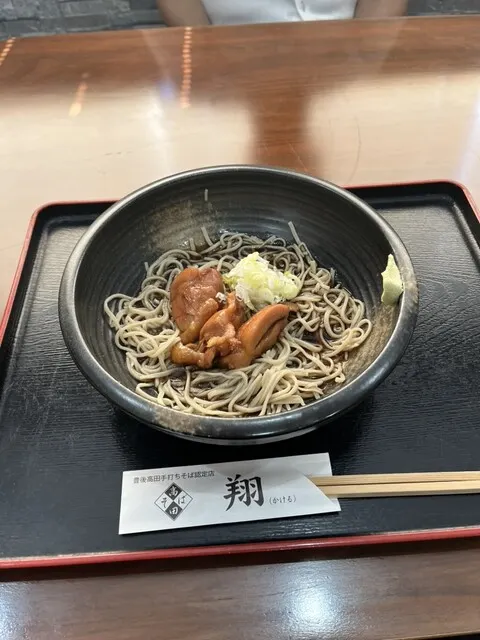 翔