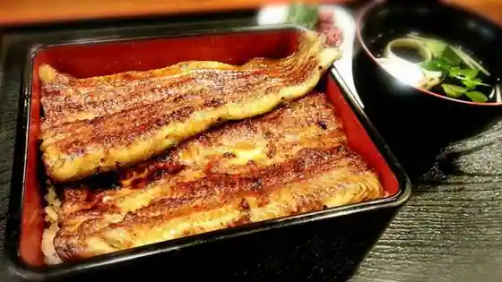 Unagi Ogawa Abiko ten