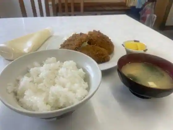 Asahi Toyo