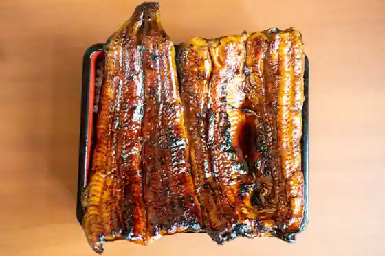 Unagi Kappo Yamada