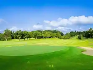 Narita No Mori Country Club