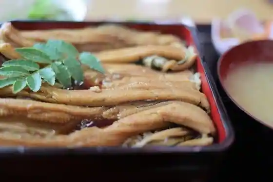 かもめ食堂