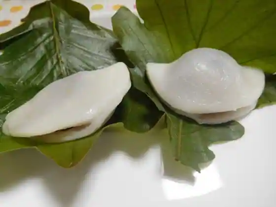 Kobayashi Kashi Ho
