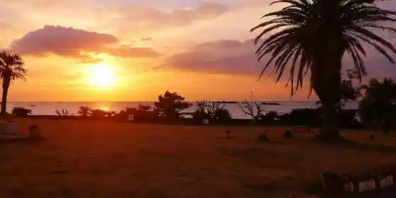 Shirahama Ocean Resort