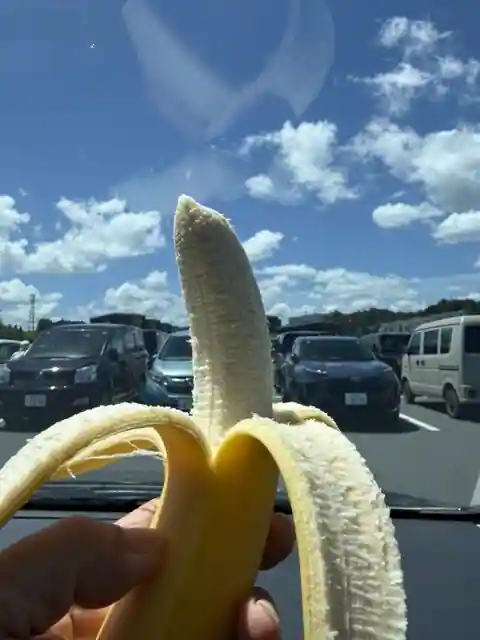 道の駅むつざわ つどいの郷