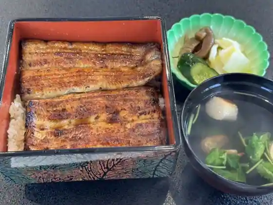 Unagi Shinkawa Hon