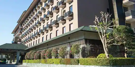 Za Edisuta Hotel Narita