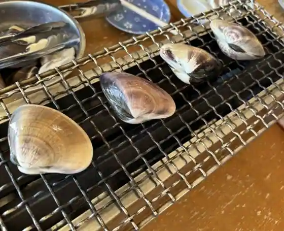 浜茶屋 協栄