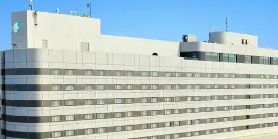 Tokyo Bei Maihama Hotel Fast Resort
