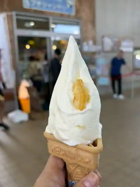 Puchishanteri Yachiyo Michi No Eki