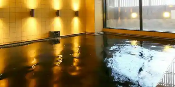 APA Hotel < Chiba Yachiyo Midorigaoka >
