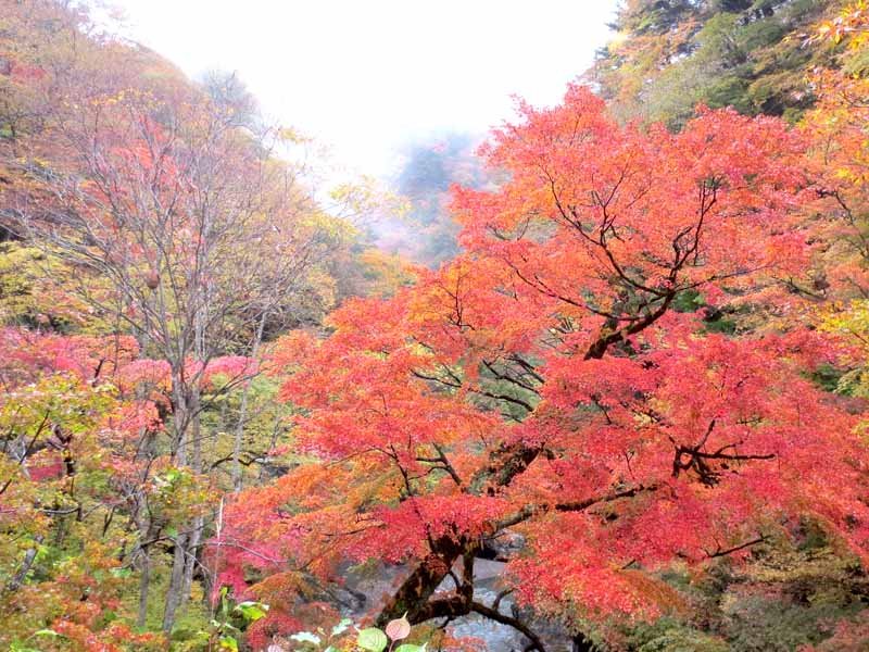 Nakatsu Gorge
