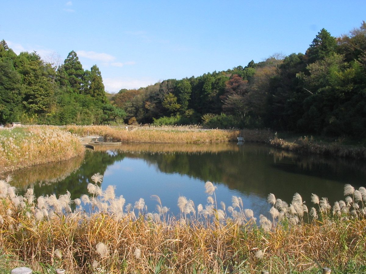 Kanagawa Prefectural Chigasaki Satoyama Park
