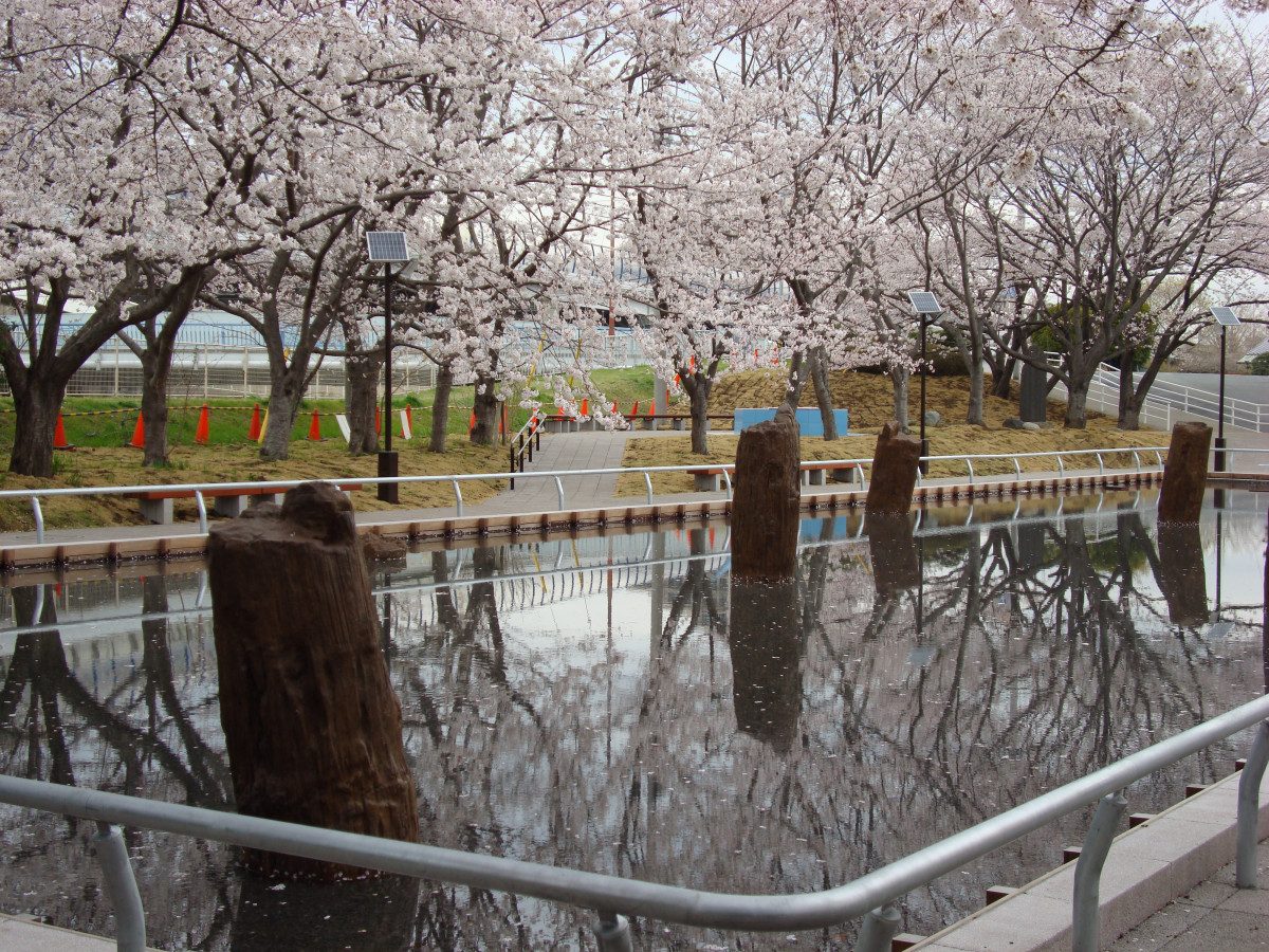 Old Sagami River Bridge Piers (Historic Site and Natural Monument)