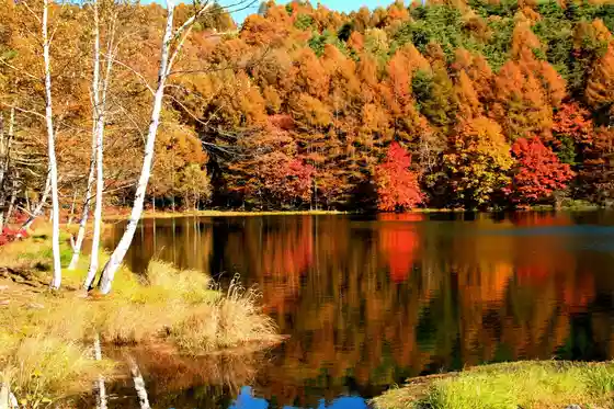 Autumn Foliage at Mishaka Pond