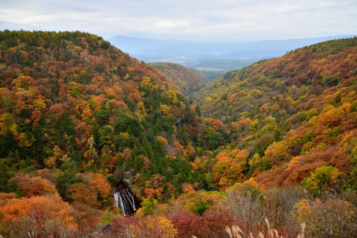 Autumn Foliage at Yokotani Gorge
