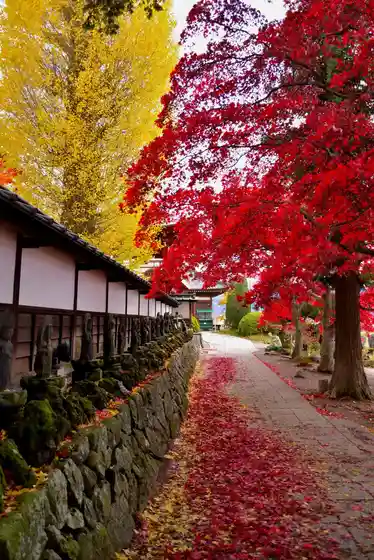 Autumn Foliage at Choenji Temple (Chino)