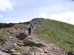 YATSU Trek Club